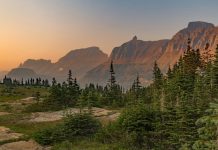 How Montana Homeowners Use Bed Liners to Protect Tools, Gear, and Outdoor Equipment